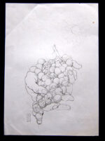 Deso Sketch-Grapes