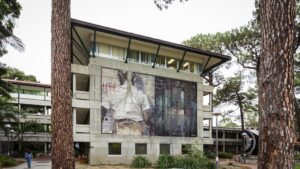 Borondo's PUBLIC finished mural for the PUBLIC Festival at the Curtin’s University in Perth (Australia) in April 2016 Photo by Luke Shirlaw